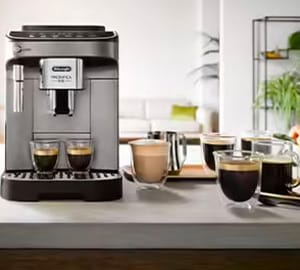 avantages Delonghi Magnifica EVO FEB 2981.TB