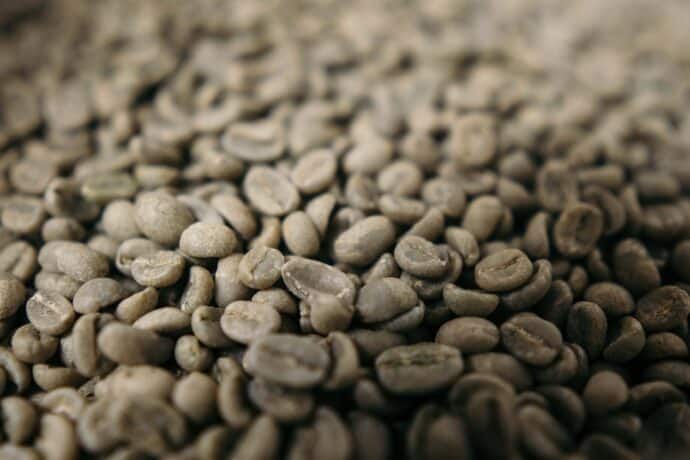 Grains de café vert