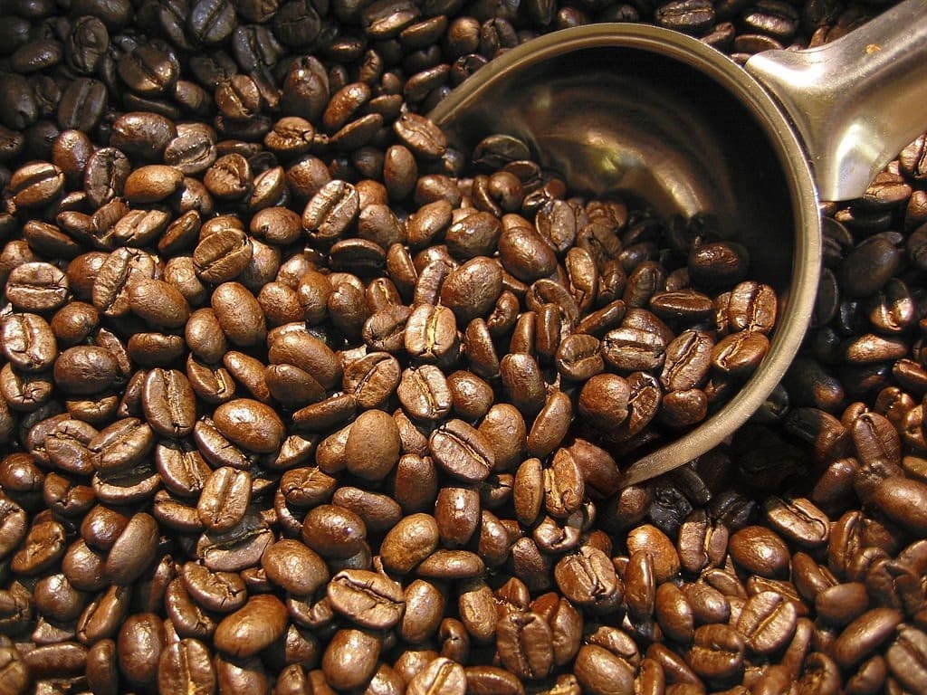 Café en grains décaféiné du Mexique à l'eau