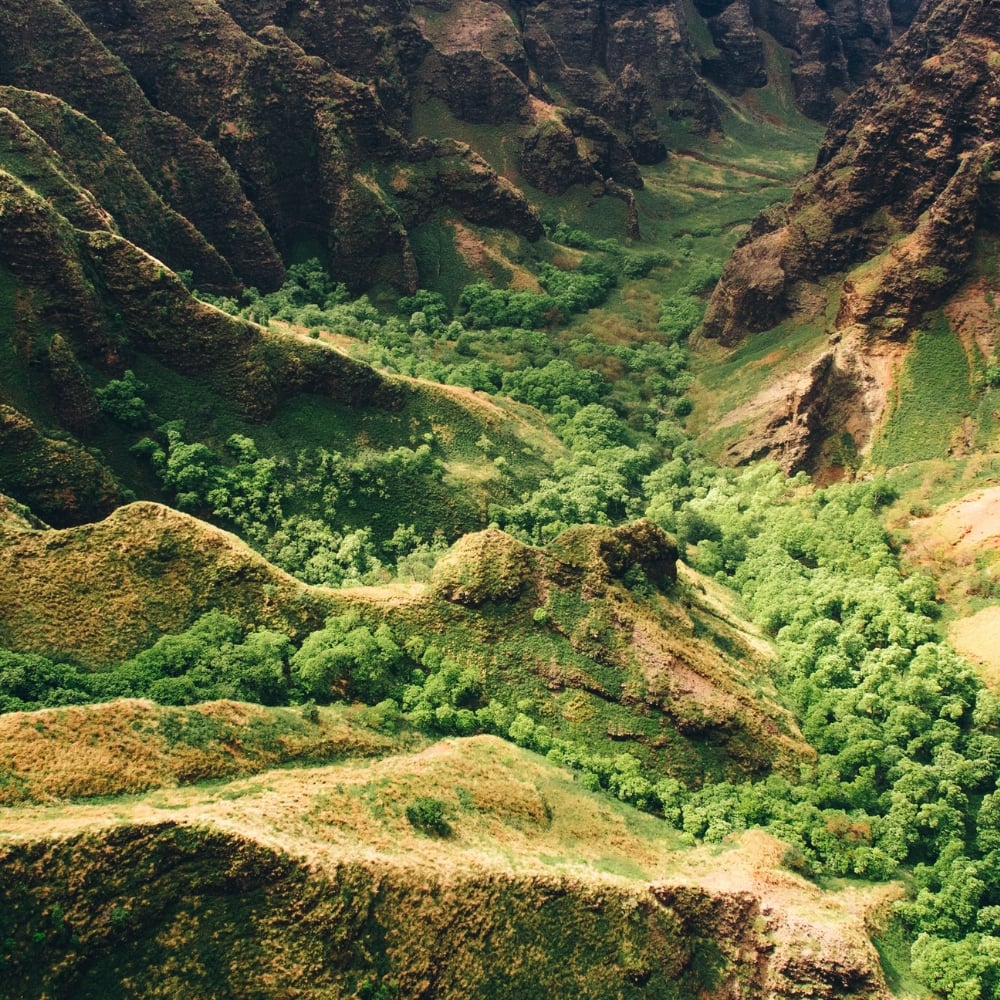 Les hauts plateaux mexicains