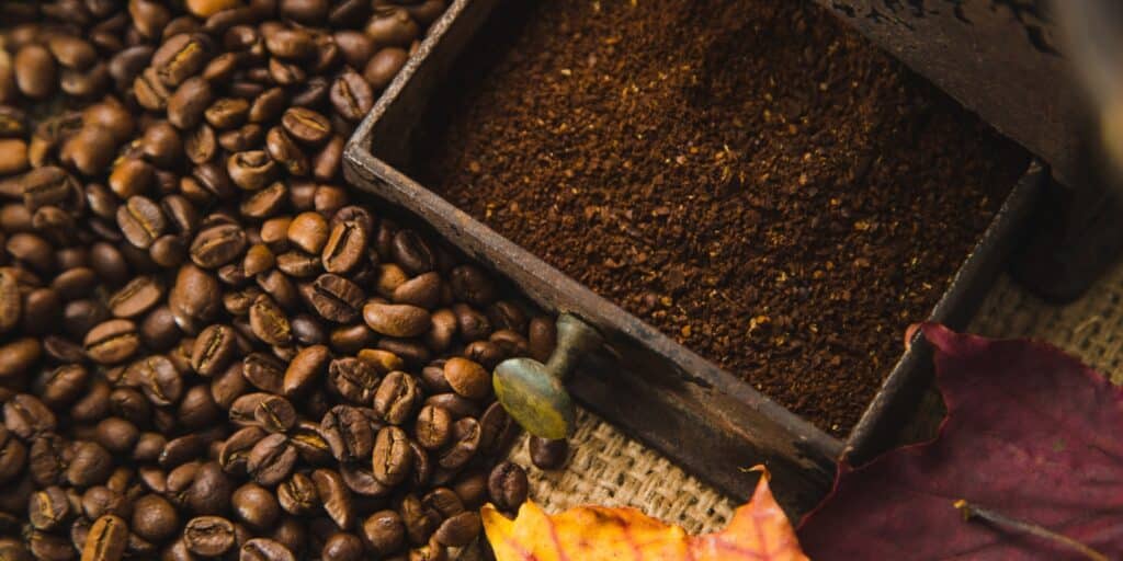 Quels modèles de machines à café en grains sont recommandés pour un usage intensif ?