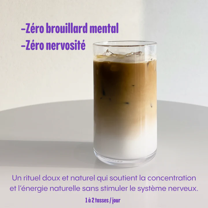 Cherico - Chicorée & Champignons adaptogènes