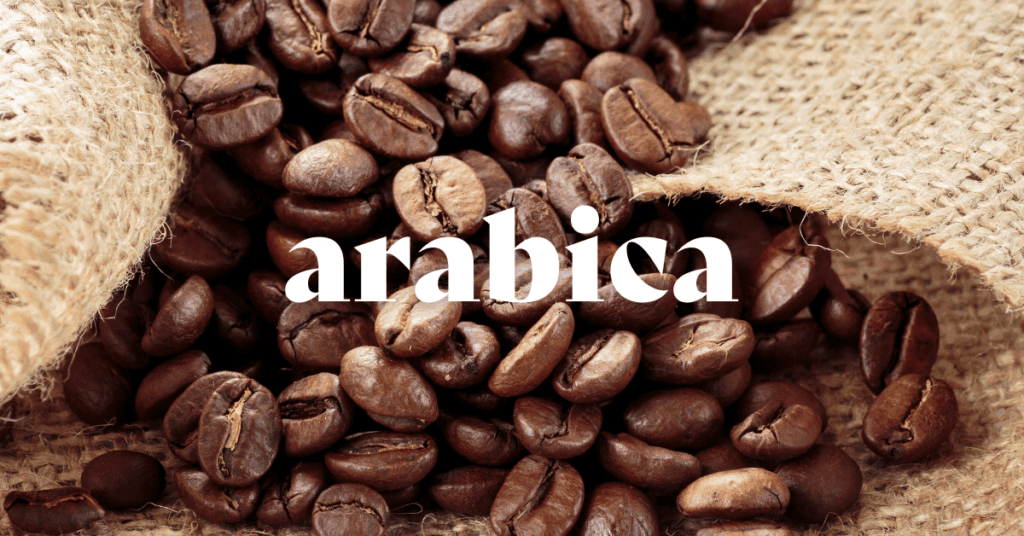 Arabica