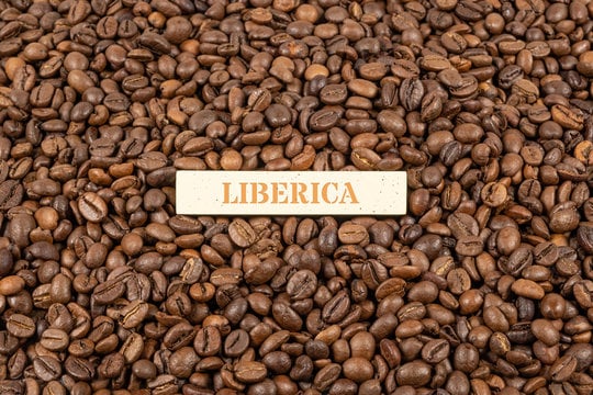 Liberica