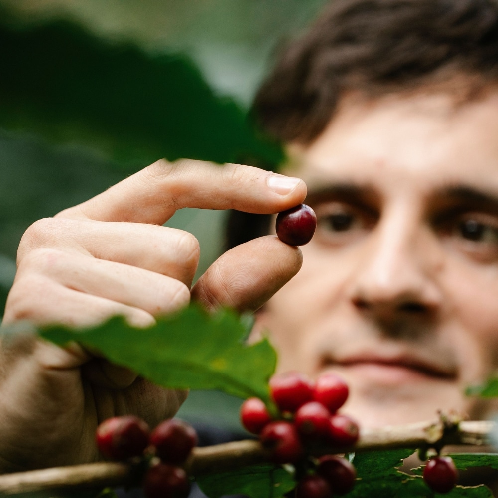 Ce que vous allez découvrir dans la tasse