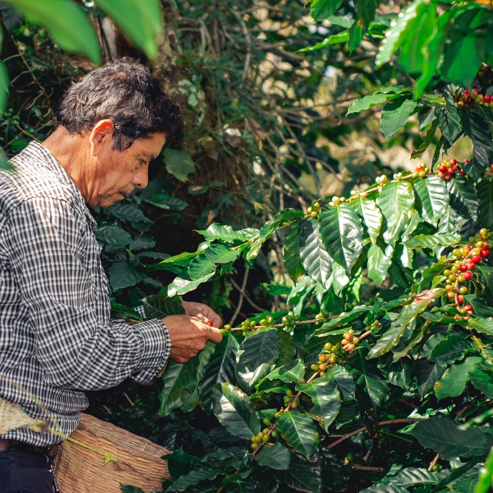 La Colombie, l'autre moitié du secret