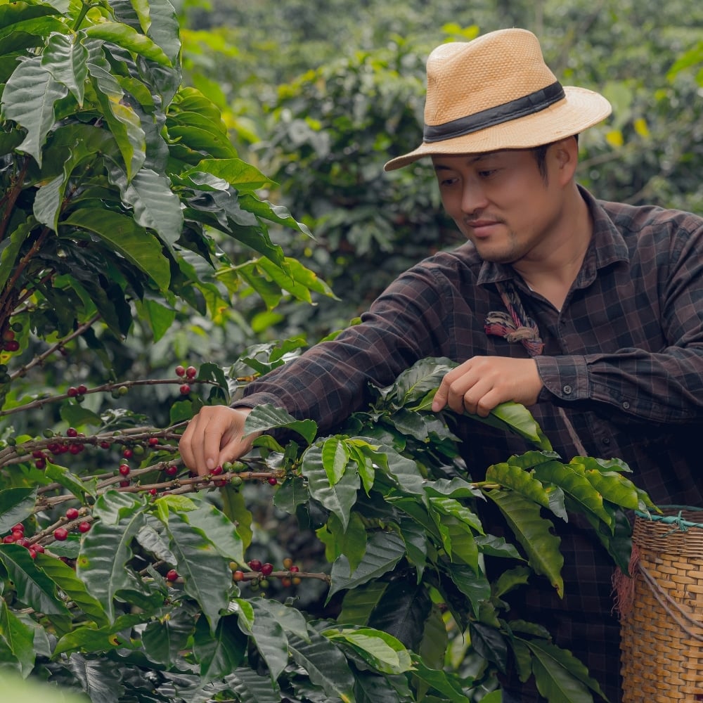 Le Chiapas mexicain